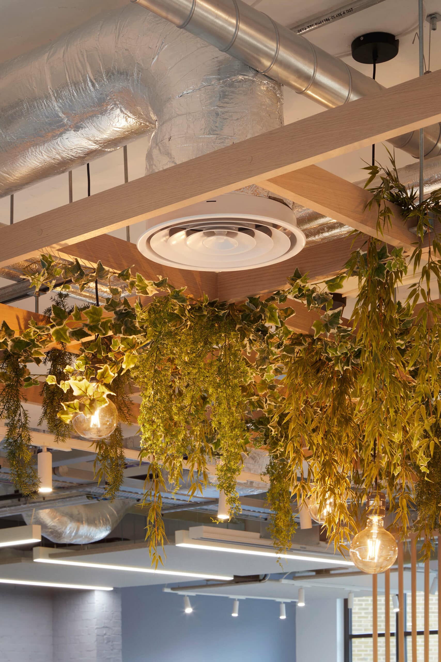 
            Green ceiling plants inside Peabody offices Westminster Bridge Road          